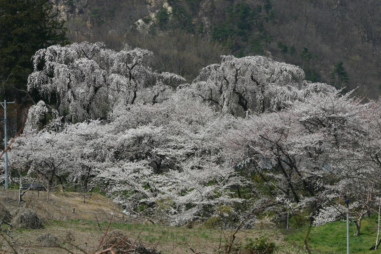 Hotel Shosenkaku Nagano Exteriér fotografie